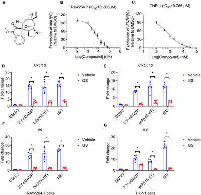 Gelsevirine is a novel STING-specific inhibitor and mitigates STING-related inflammation in sepsis